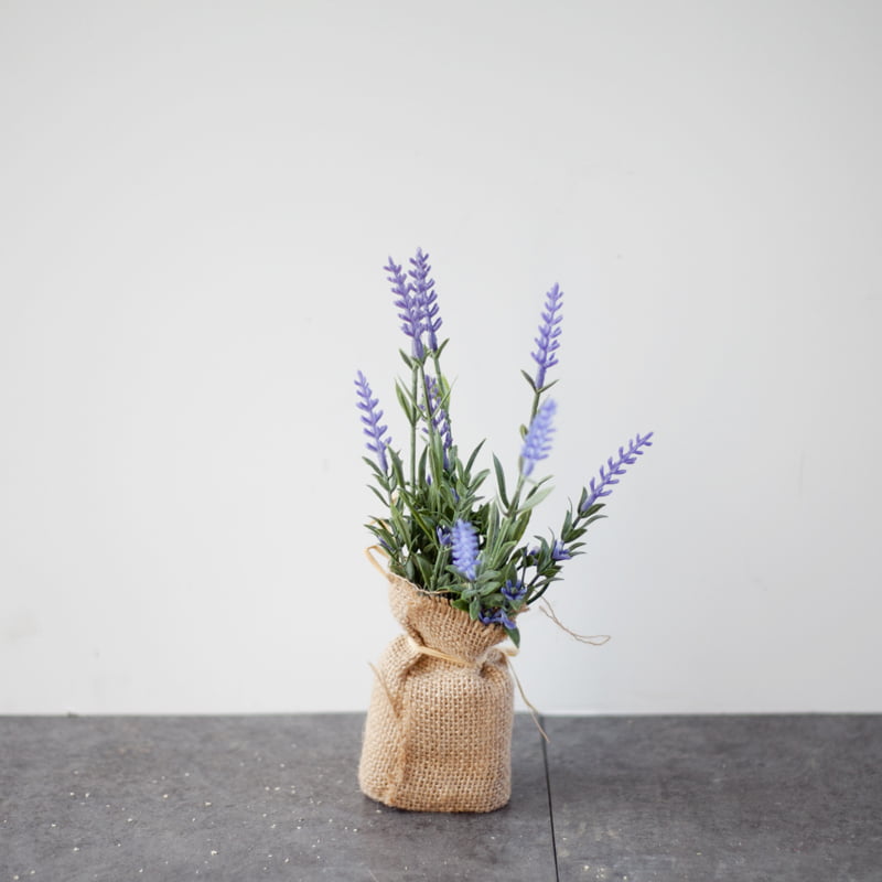 Cây cảnh giả - Chậu cây lavender mini